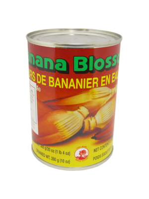 バナナのツボミの水煮　BANANA BLOSSOM IN BRINE 565 G