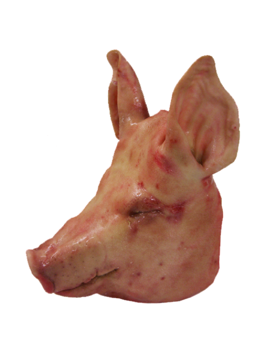 CABECA DE PORCO INTEIRO