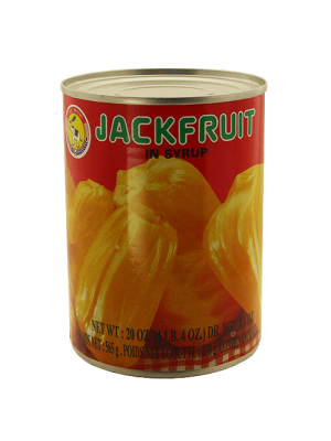 TAS JACK FRUIT IN SYRUP 565G