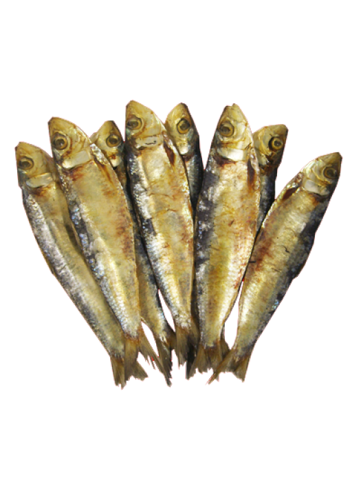 TUYO FISH 100g